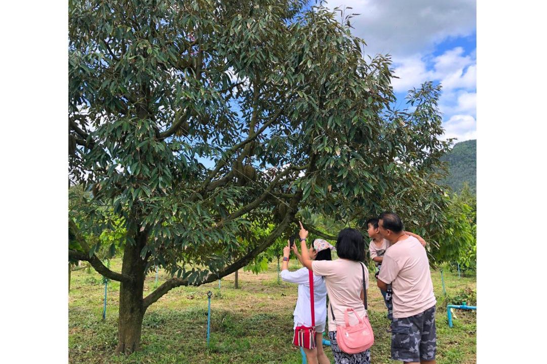 Photo of Others in Huai Sat Yai