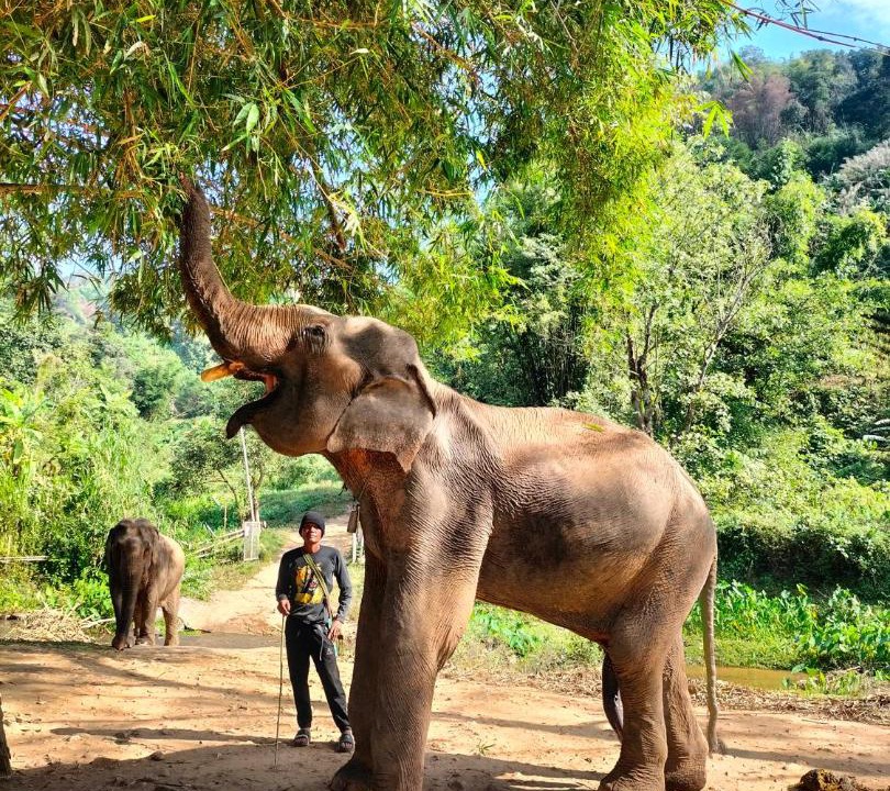 Photo of Others in Nang Lae