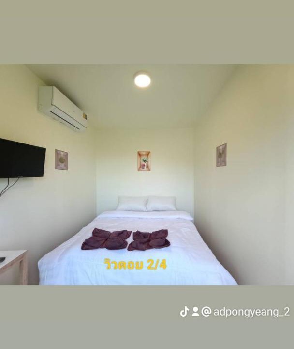 Photo of Others in Pong Yaeng