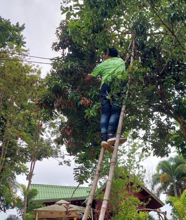 Photo of Others in Khao Kho