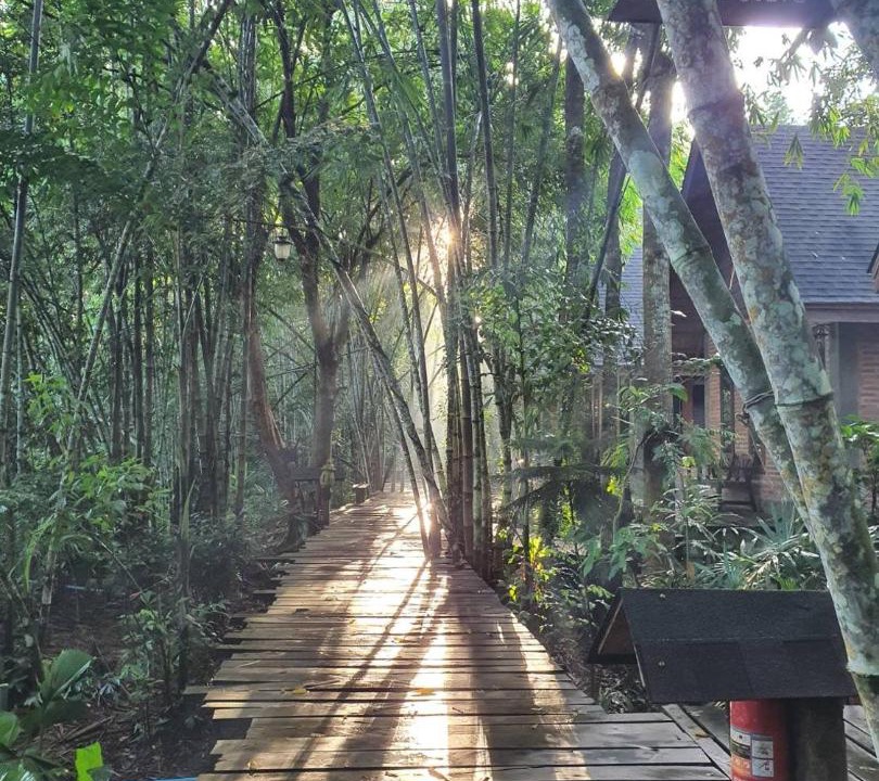 Photo of Others in Phrom Khiri