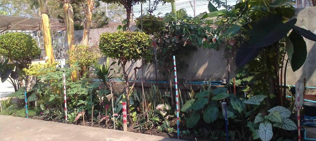 Photo of Others in Na Muang