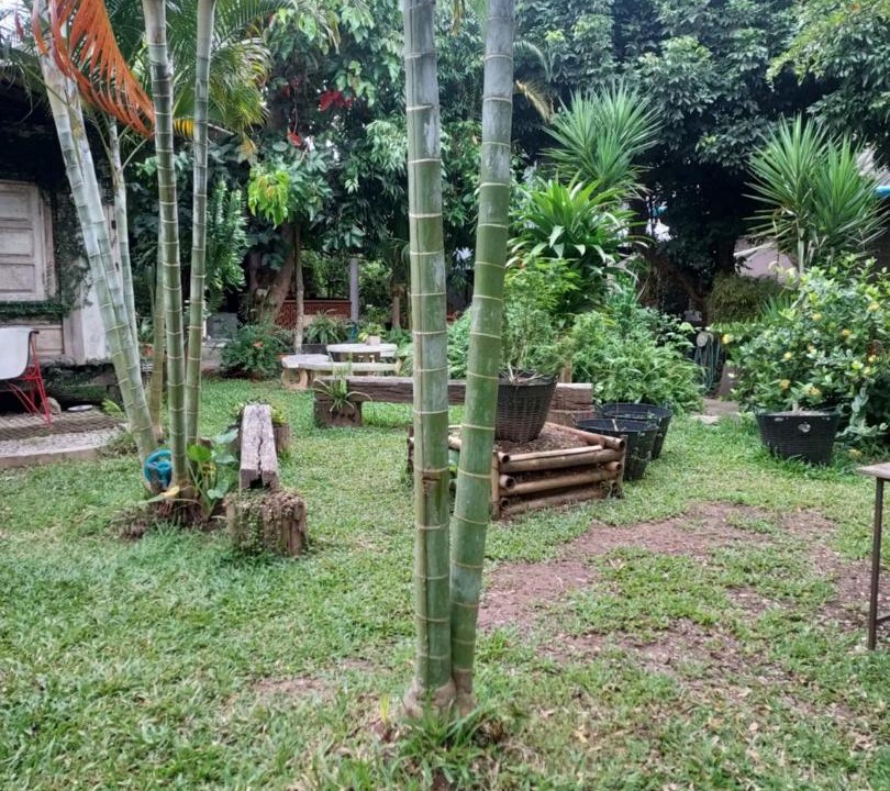 Photo of Others in Mae Chaem