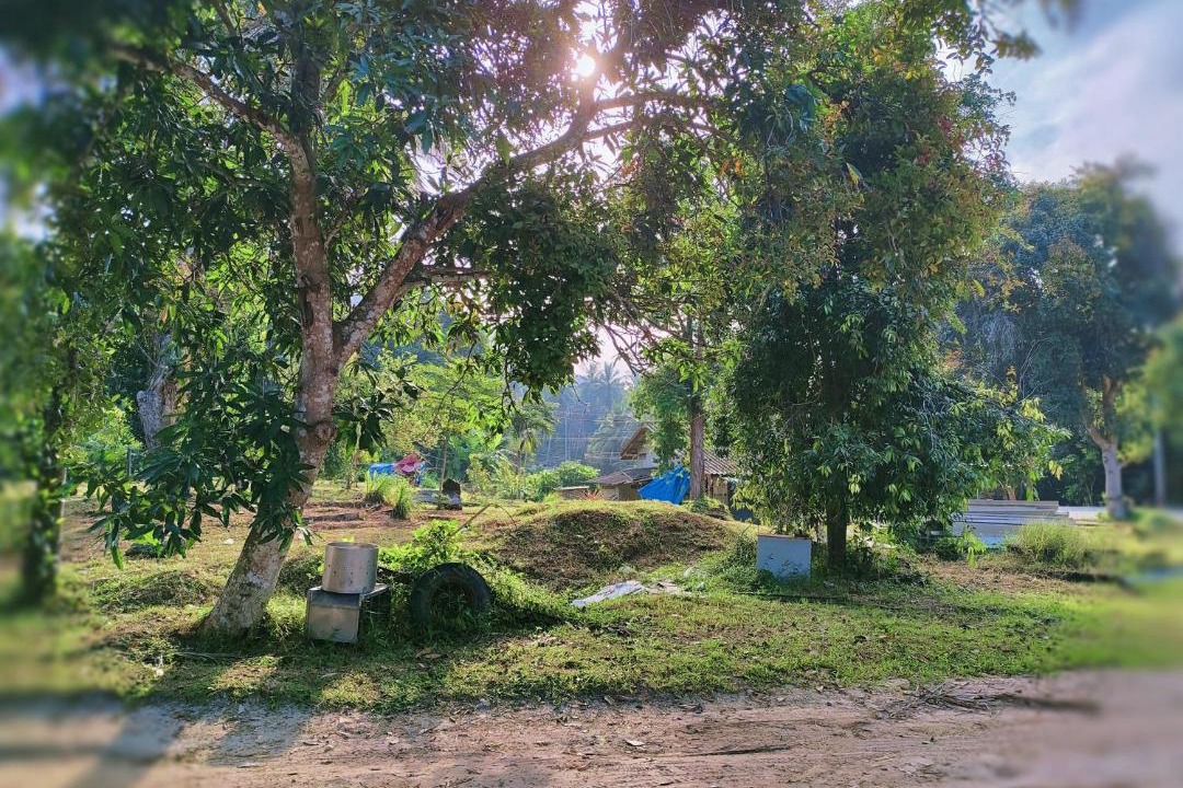 Photo of Others in Baan Tai