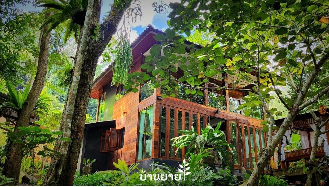 Photo of Others in Chiang Dao District