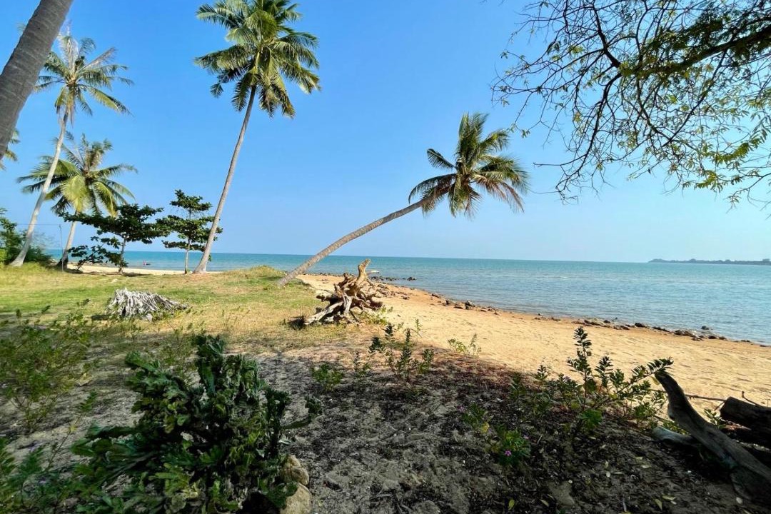 Photo of Others in Lang Suan
