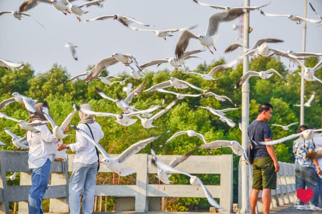 Photo of Others in Mueang Samut Prakan District