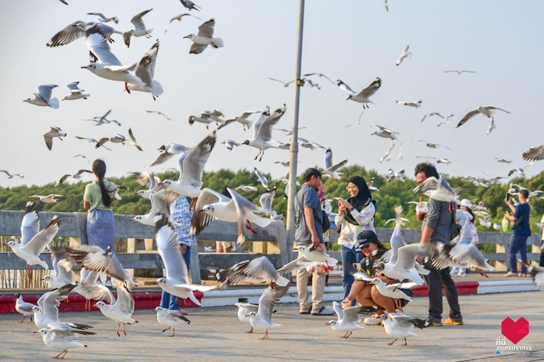 Photo of Others in Mueang Samut Prakan District
