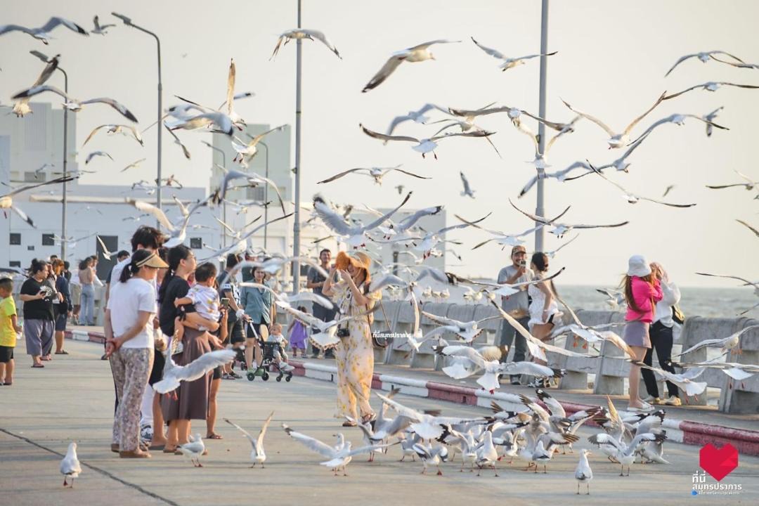Photo of Others in Mueang Samut Prakan District