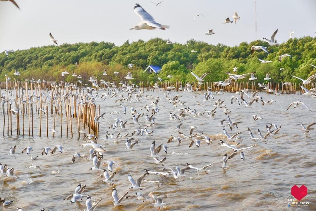 Photo of Others in Mueang Samut Prakan District