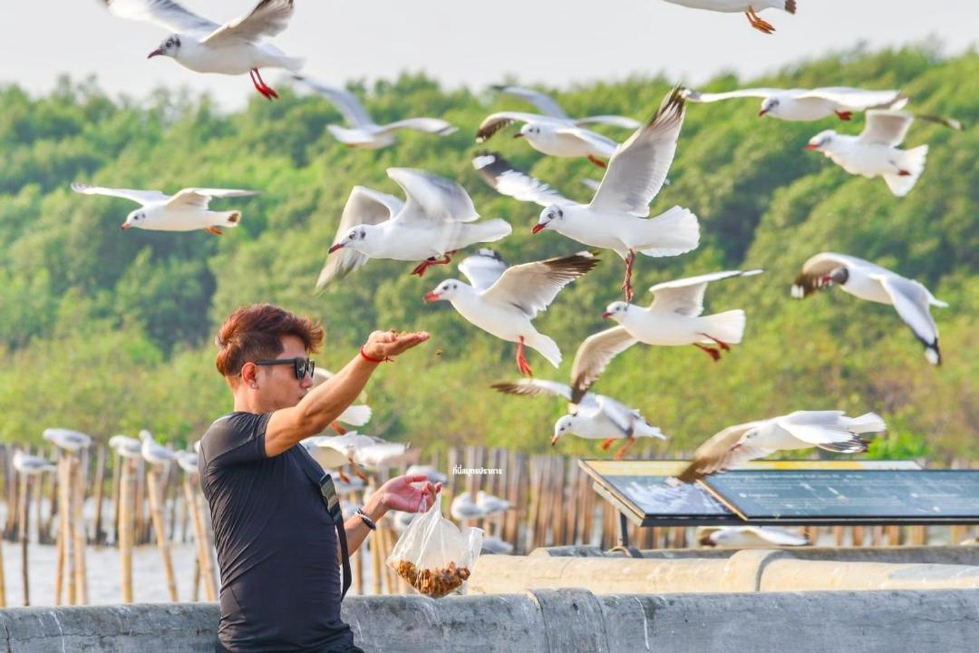 Photo of Others in Mueang Samut Prakan District
