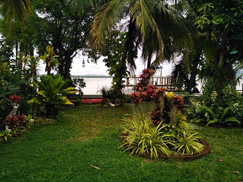 Photo of Others in Songkhla