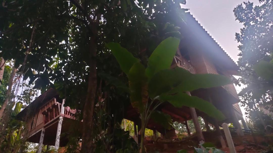 Photo of Others in Ranong