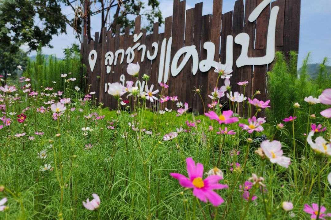 Photo of Others in Mu Si