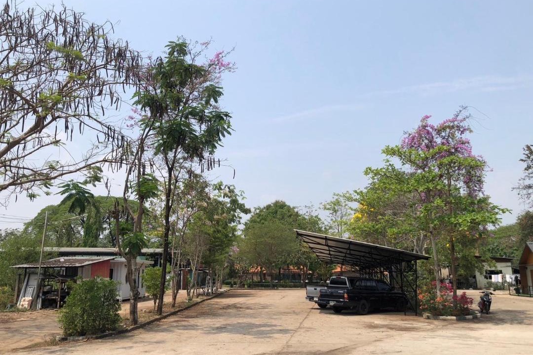 Photo of Buildings in Lampang