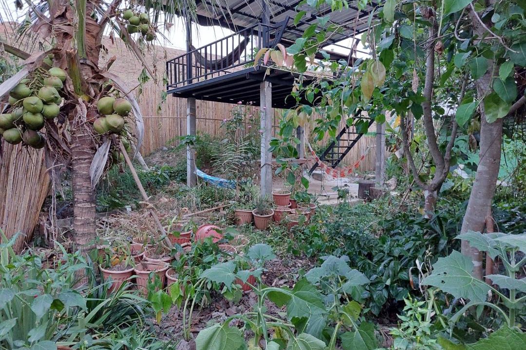 Photo of Others in Chiang Dao