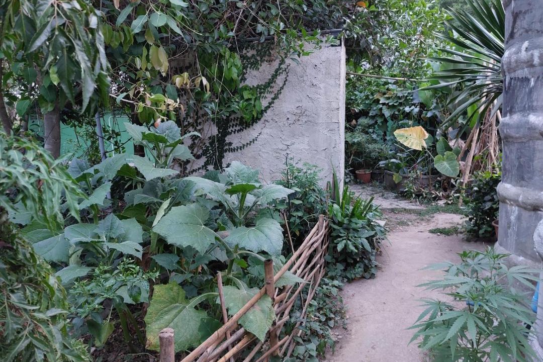 Photo of Others in Chiang Dao