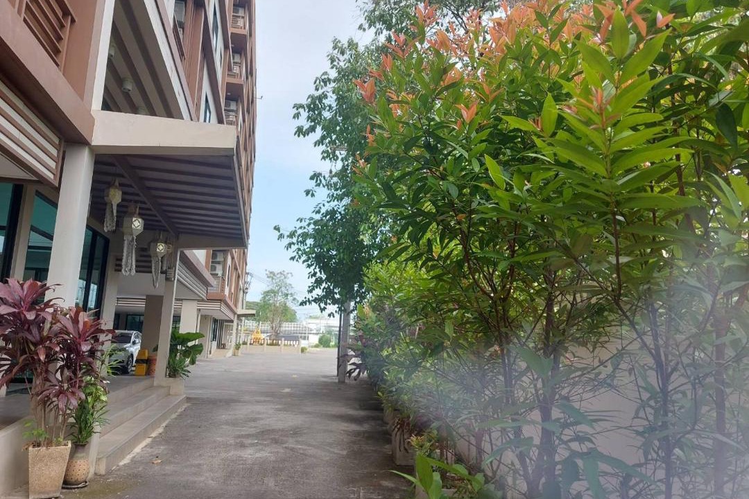 Photo of Buildings in Tha Sala