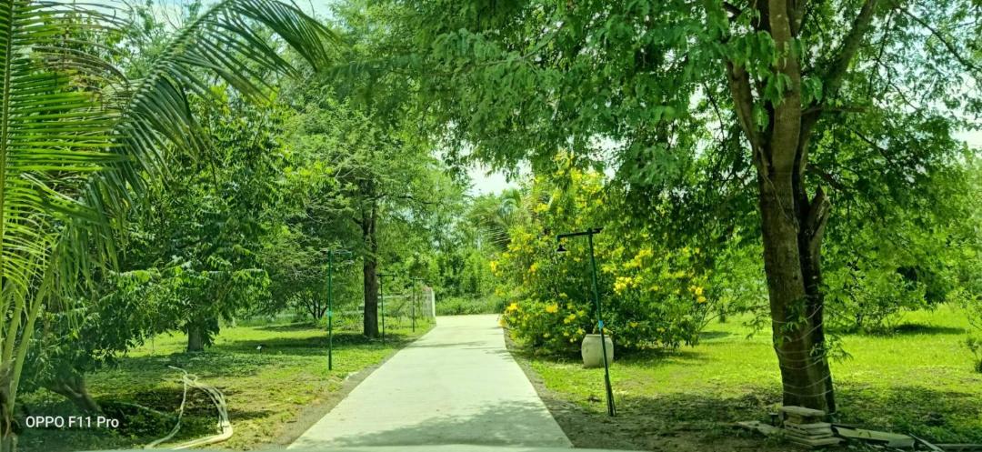 Photo of Others in Suan Phueng