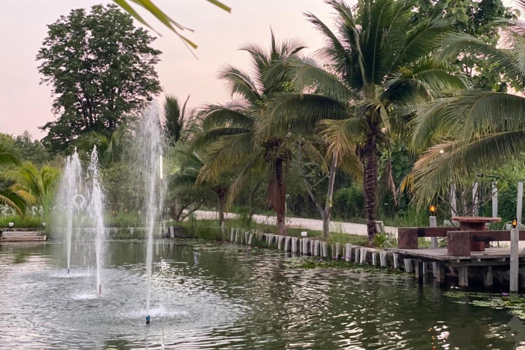 Photo of Others in Suan Phueng