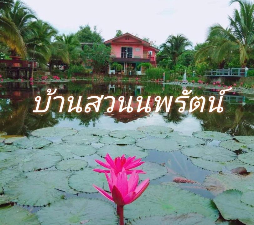 Photo of Others in Suan Phueng