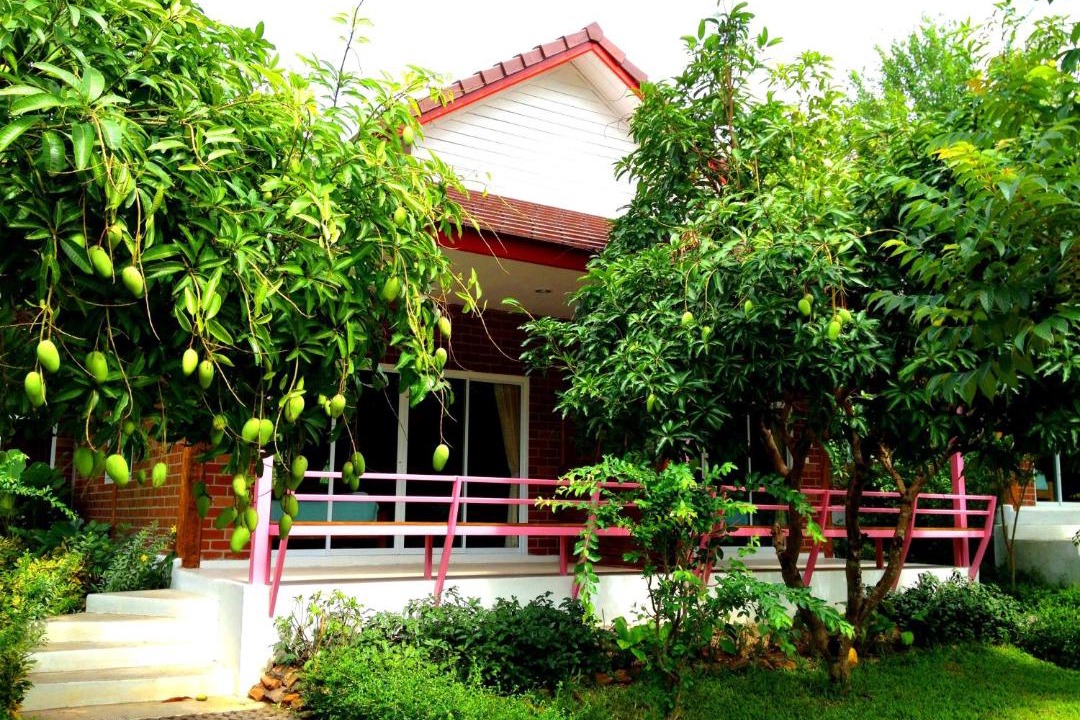 Photo of Others in Suan Phueng