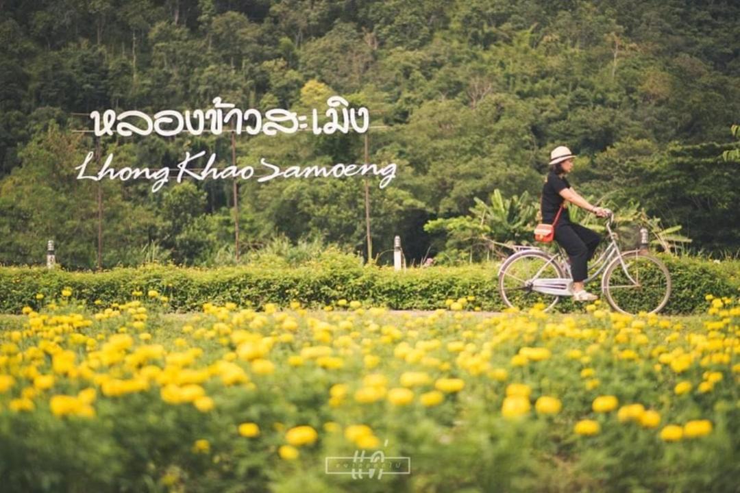 Photo of Others in Samoeng
