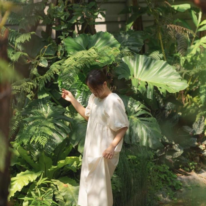 Photo of Others in Chang Phueak