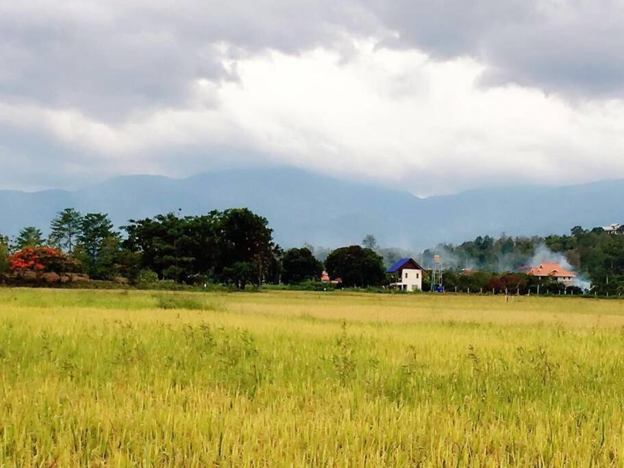 Photo of Others in Mae Rim