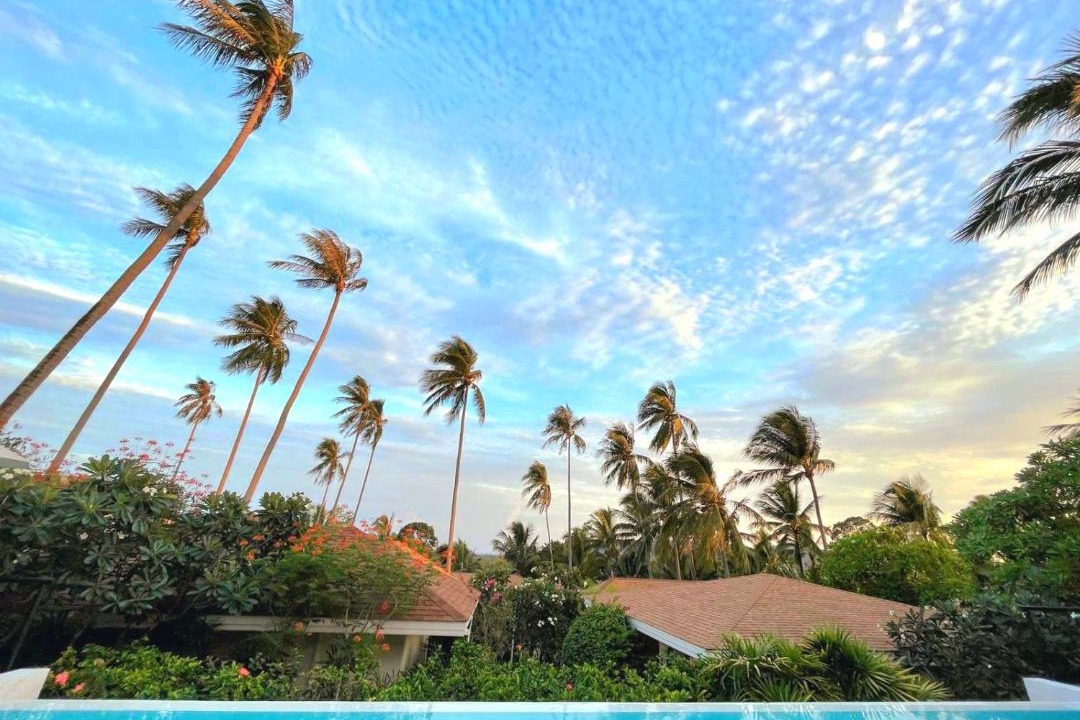 Photo of Others in Koh Samui
