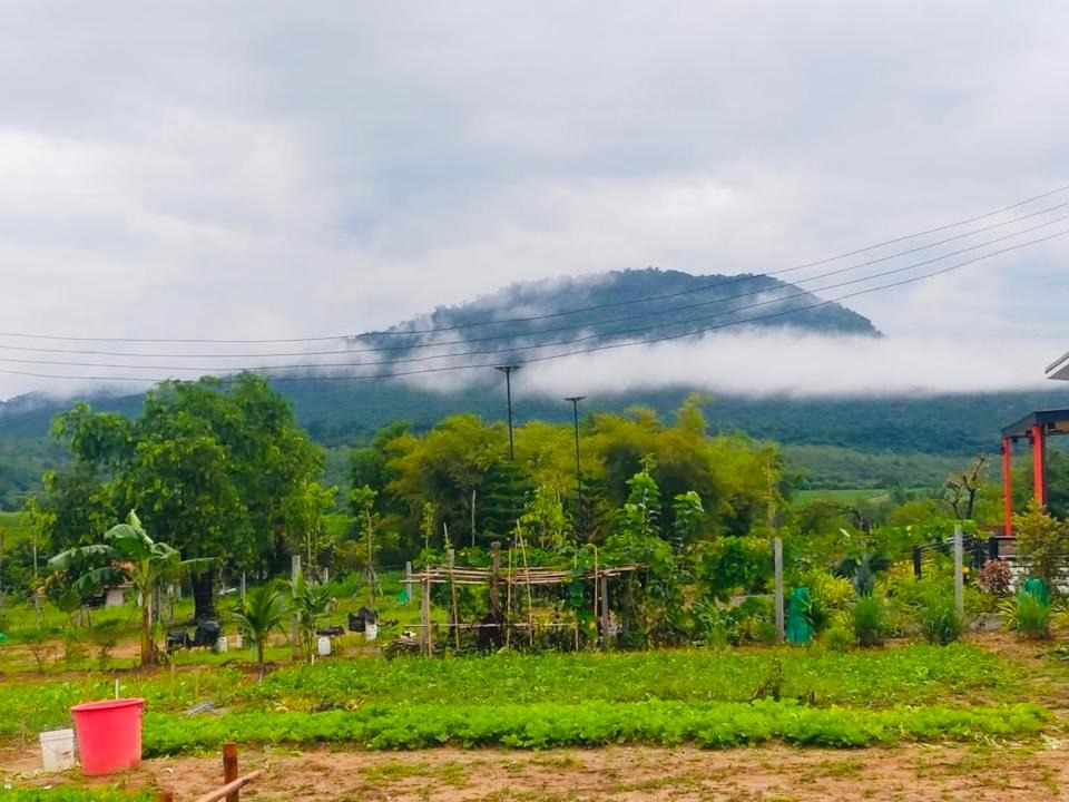 Photo of Outdoor in Wang Nam Khiao