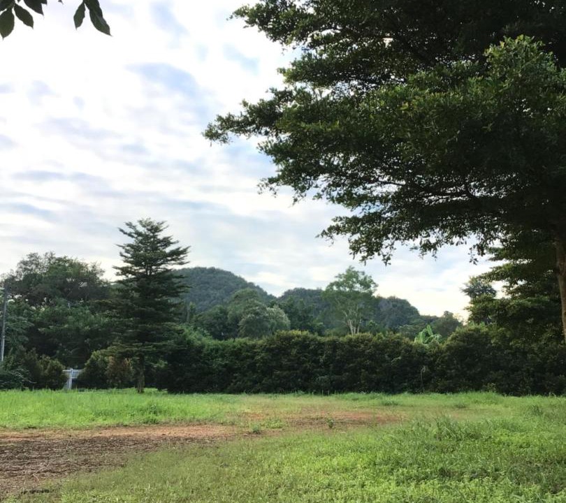 Photo of Others in Chiang Rai