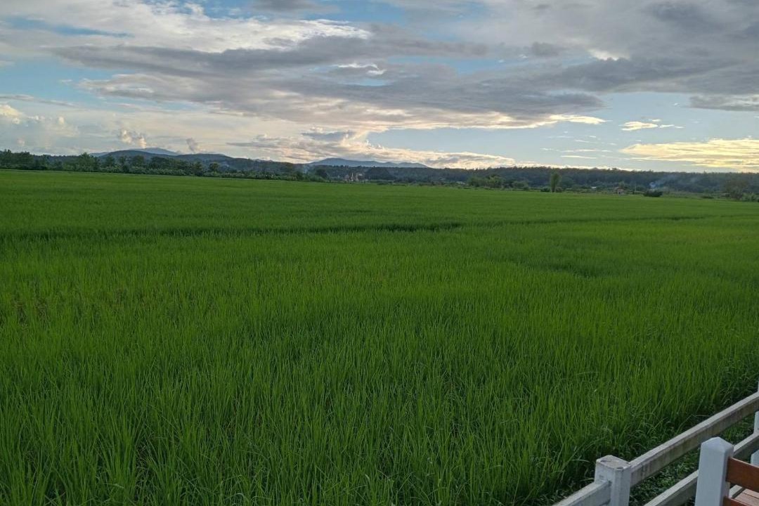 Photo of Others in Mae Taeng