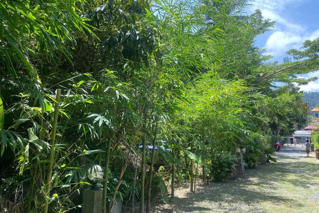 Photo of Outdoor in Ko Lanta