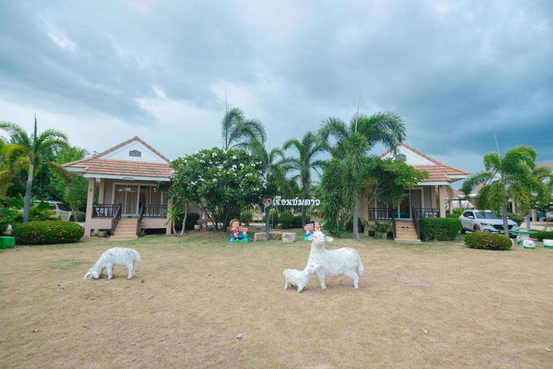 Photo of Others in Chom Bueng