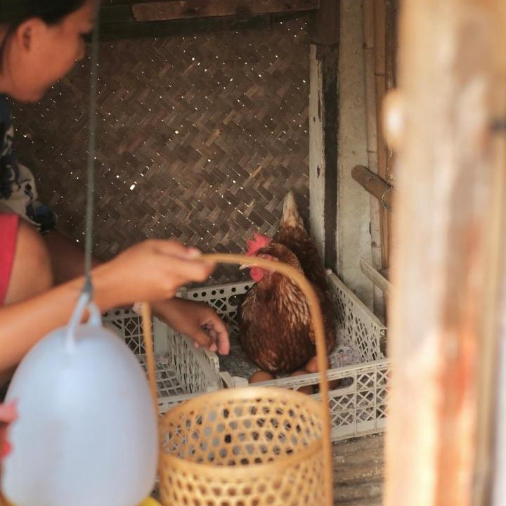 Photo of Others in Bang Khla