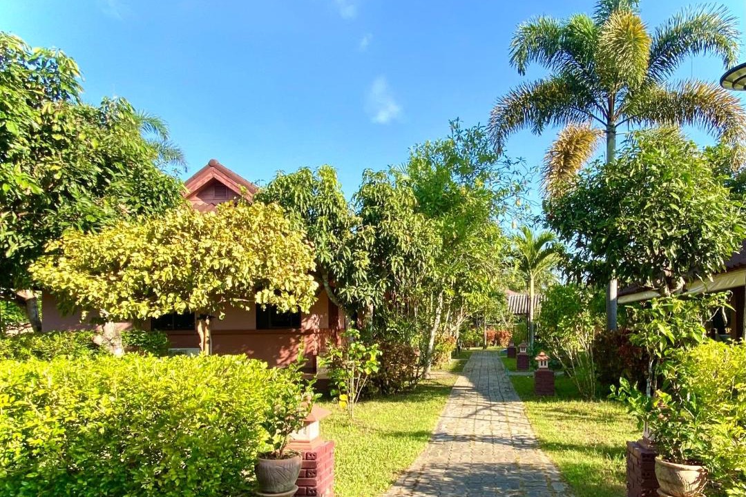 Photo of Others in Luang Nuea