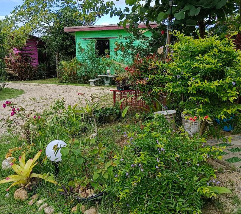 Photo of Others in Lan Saka