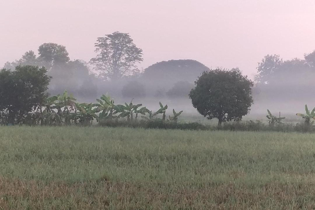 Photo of Others in Mueang Nga