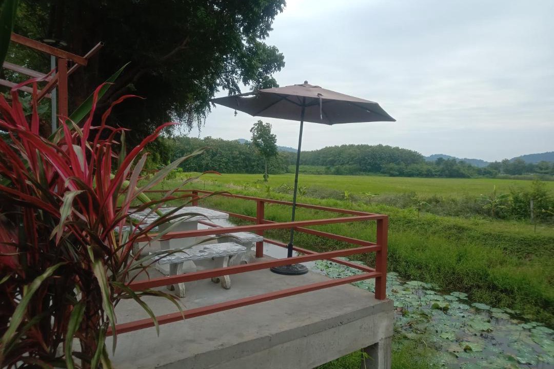 Photo of Others in Nong Phai