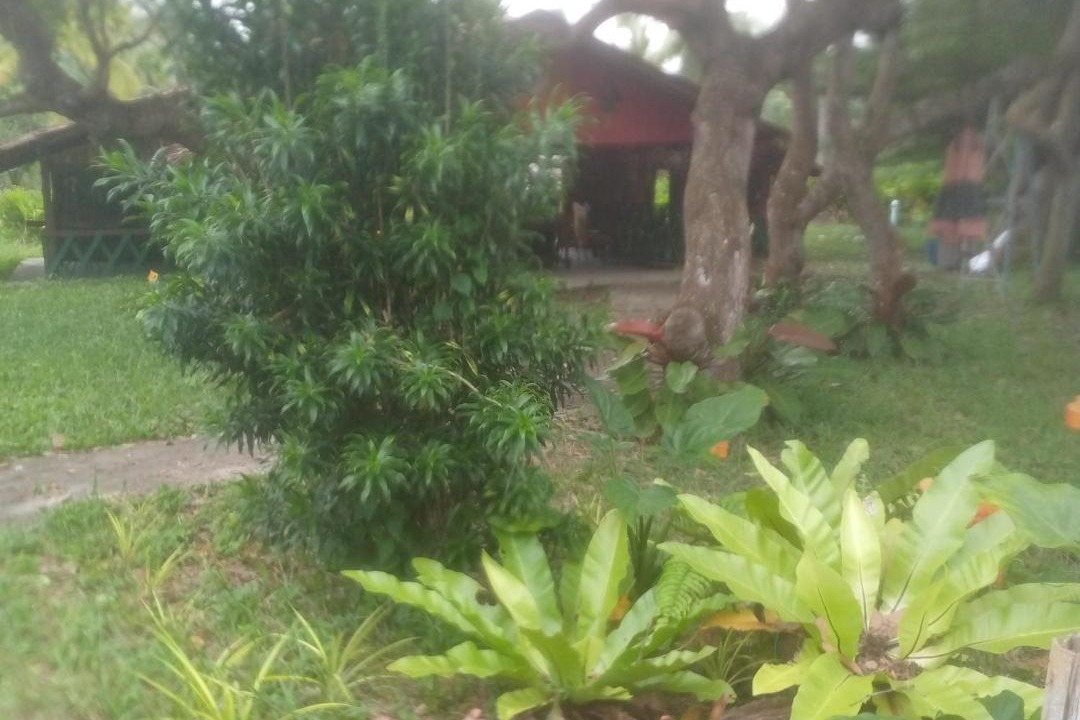 Photo of Others in Ko Mook