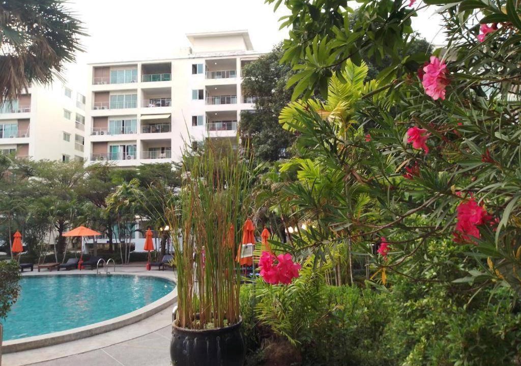 Photo of Others in North Pattaya