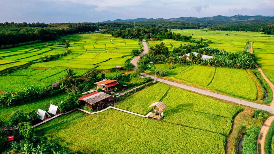 Photo of Others in K. Phu Pieng