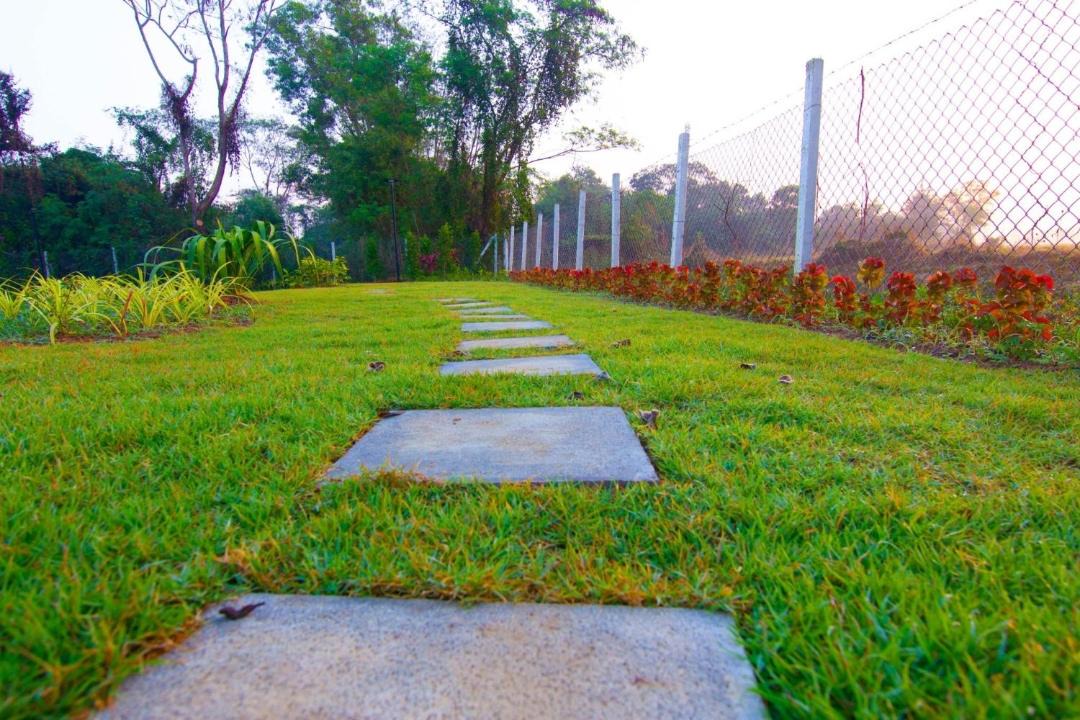 Photo of Outdoor in Lamphun