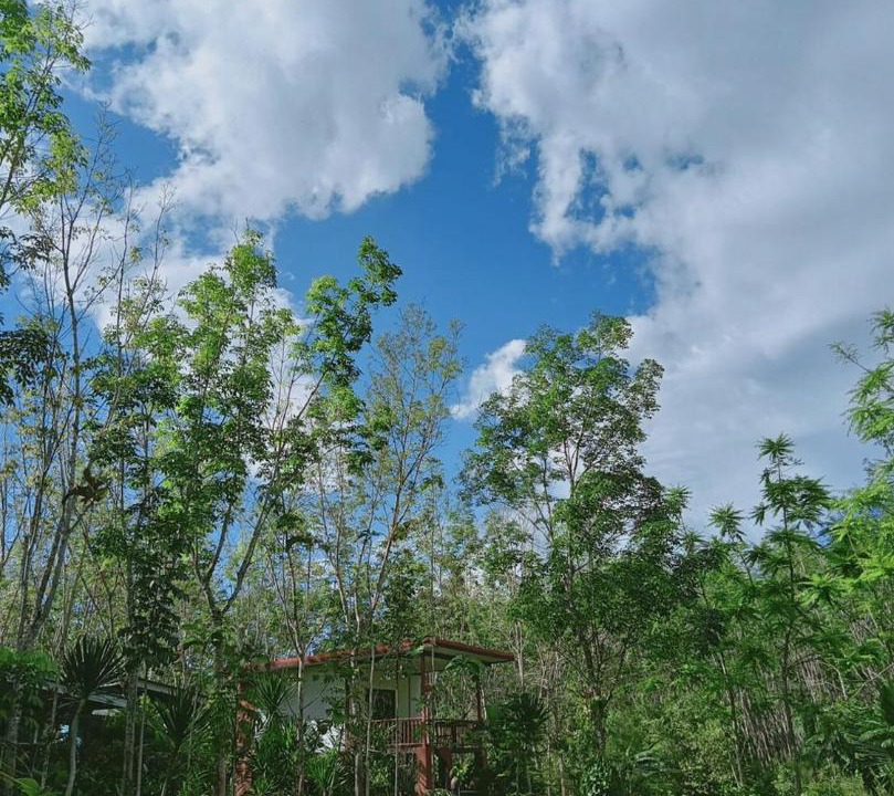 Photo of Outdoor in Ban Wang Hom