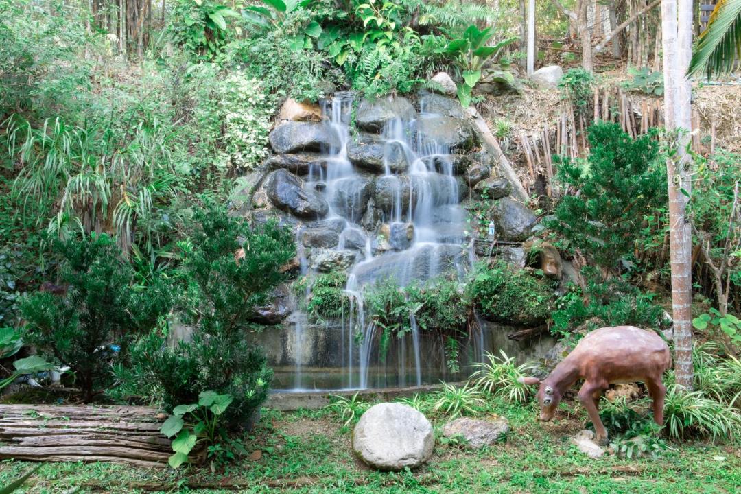 Photo of Others in Mae Rim