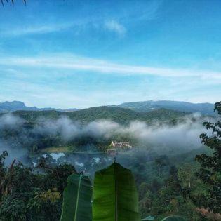 Photo of Others in Chiang Rai