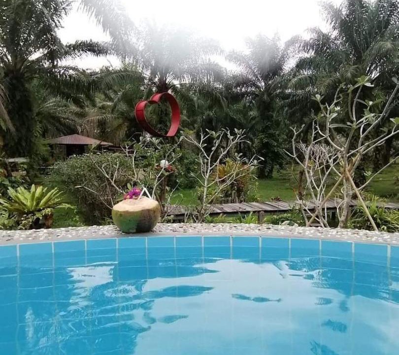 Photo of Others in Krabi