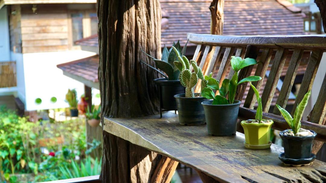 Photo of Others in Chiang Dao