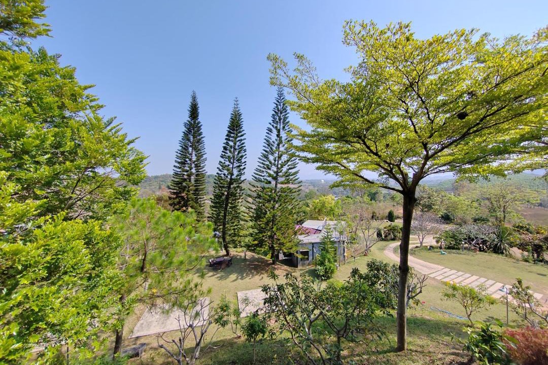 Photo of Others in Wang Nam Khiao